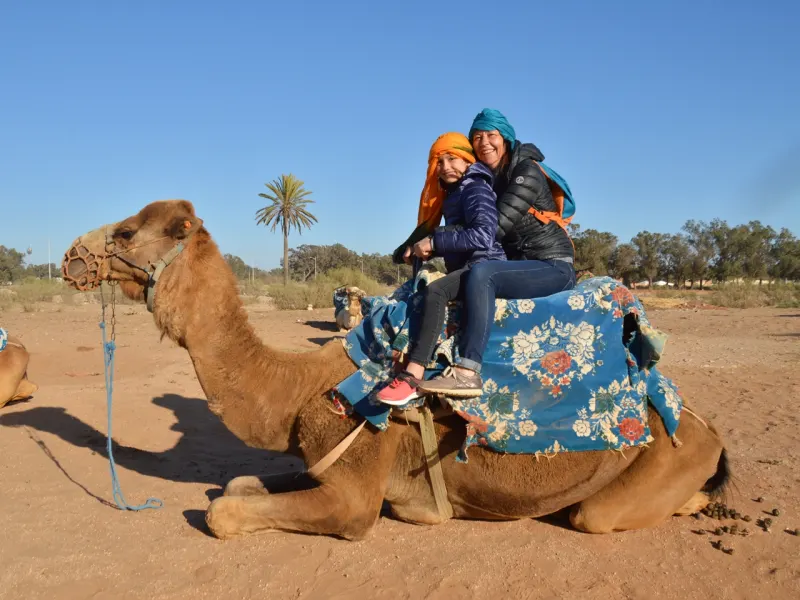 BBQ Camel Ride in Agadir