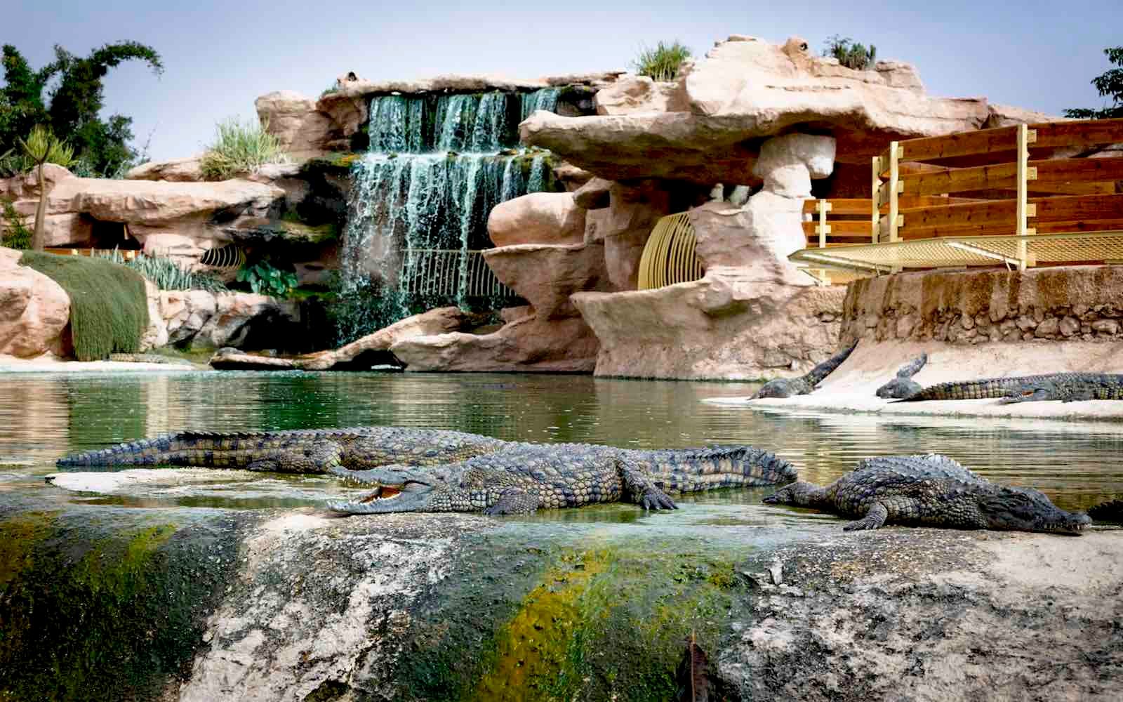 Agadir Crocodile & Anaconda Park Visit