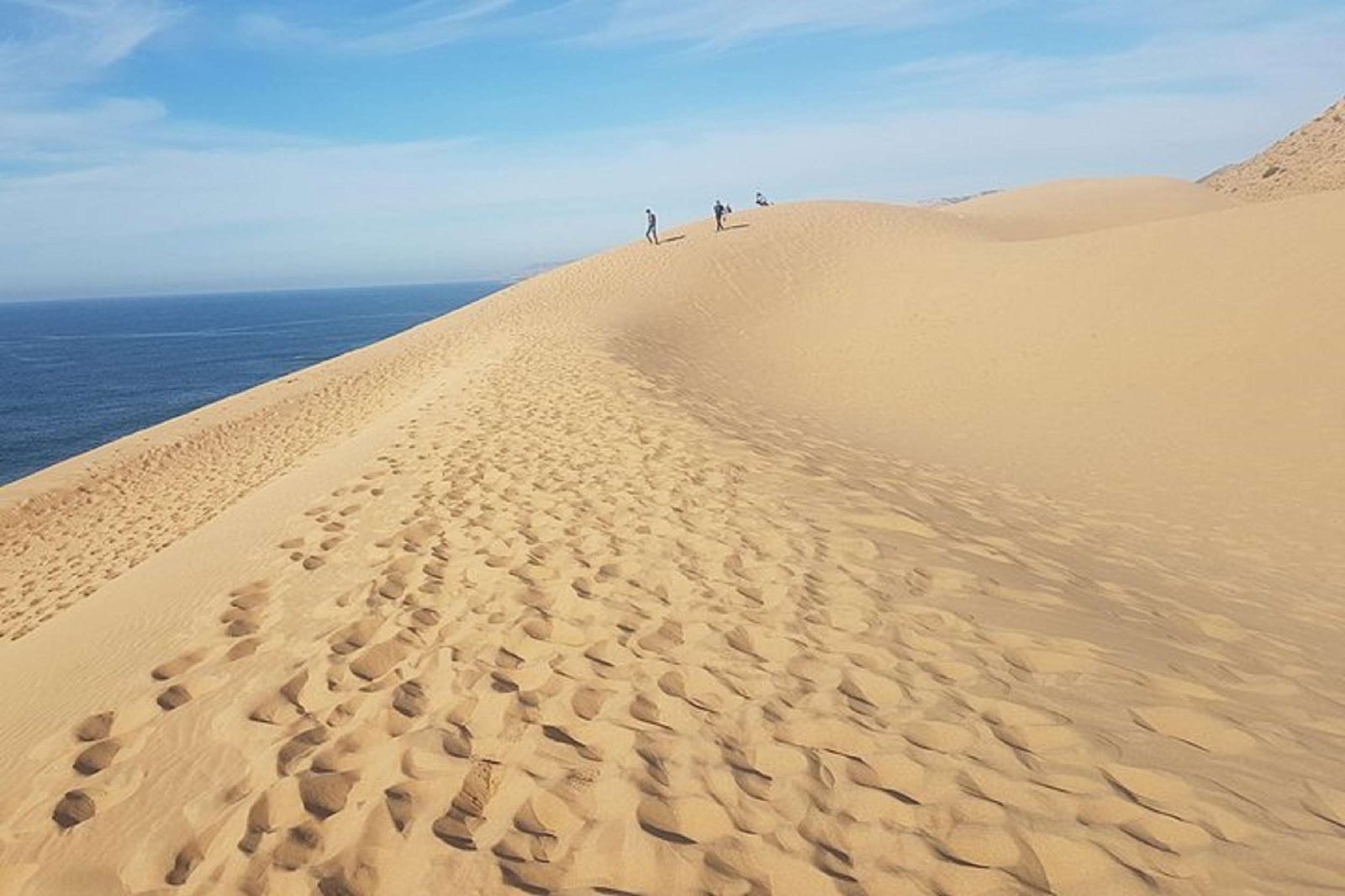 Paradise Valley & Sahara Dunes Guided Day Trip