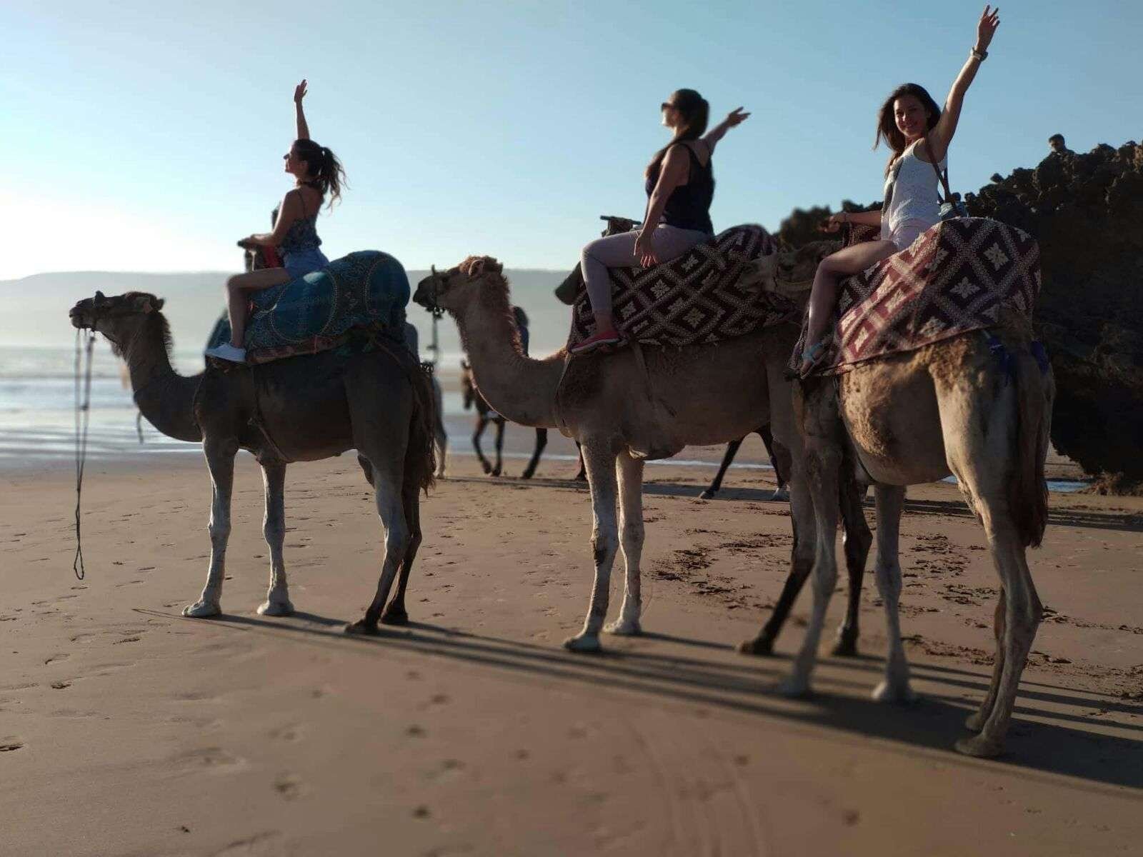 Camel Ride in Agadir