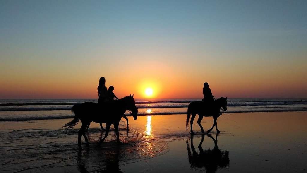 Horse Riding in Agadir